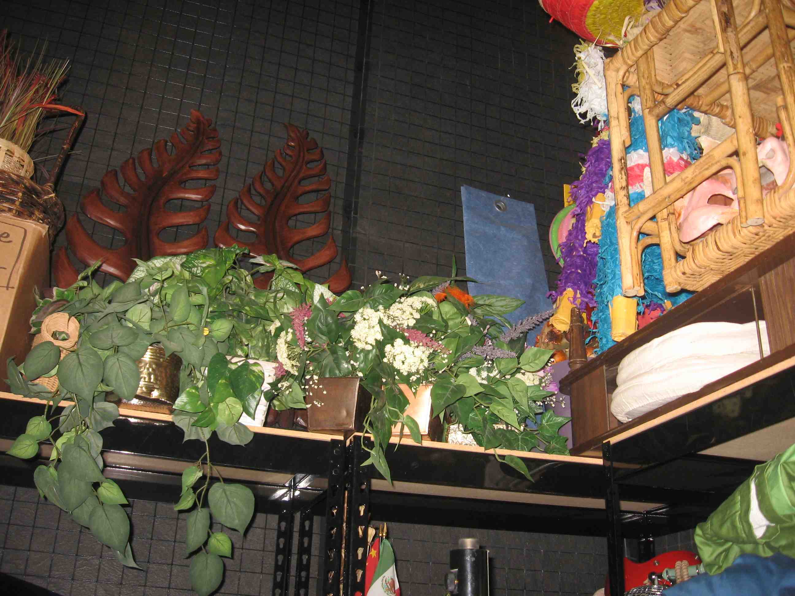 props available at Media Center: potted plants